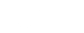 Wasserstein Home logo