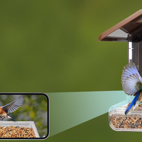 Wasserstein Launches Smart Cam Compatible Bird Feeder Camera Case