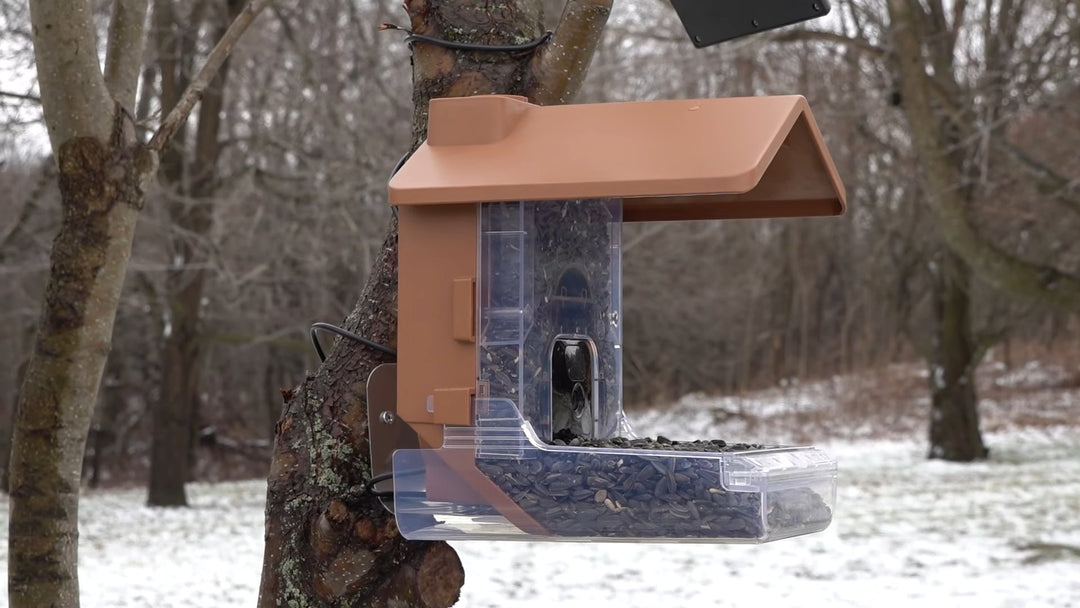 How to Mount the Wasserstein Bird Feeder Camera Case