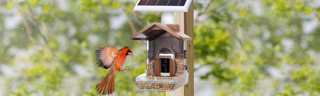 13 ways to camouflage outdoor hidden security cameras