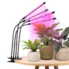 Dartwood LED Grow Lights | Blue Red Spectrum for Indoor Plants
