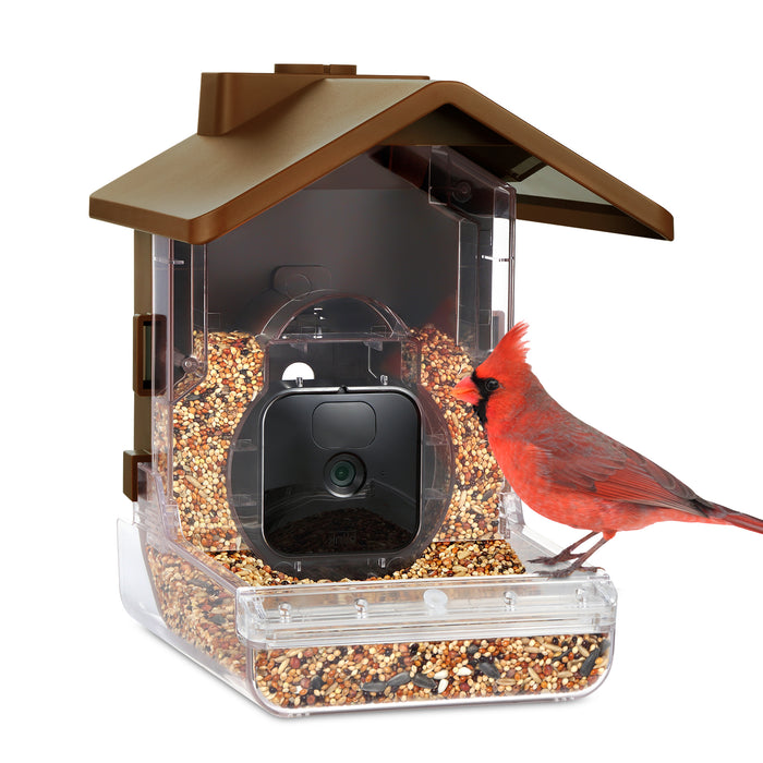 Wasserstein Bird Feeder Camera Case Compatible with Blink, Wyze, and Ring Cam - Bird Feeder for Bird Watching with Your Security Cam - (Camera NOT Included)