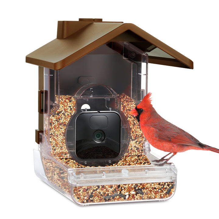 Wasserstein Bird Feeder Camera Case for Ring, Blink & Wyze Cams