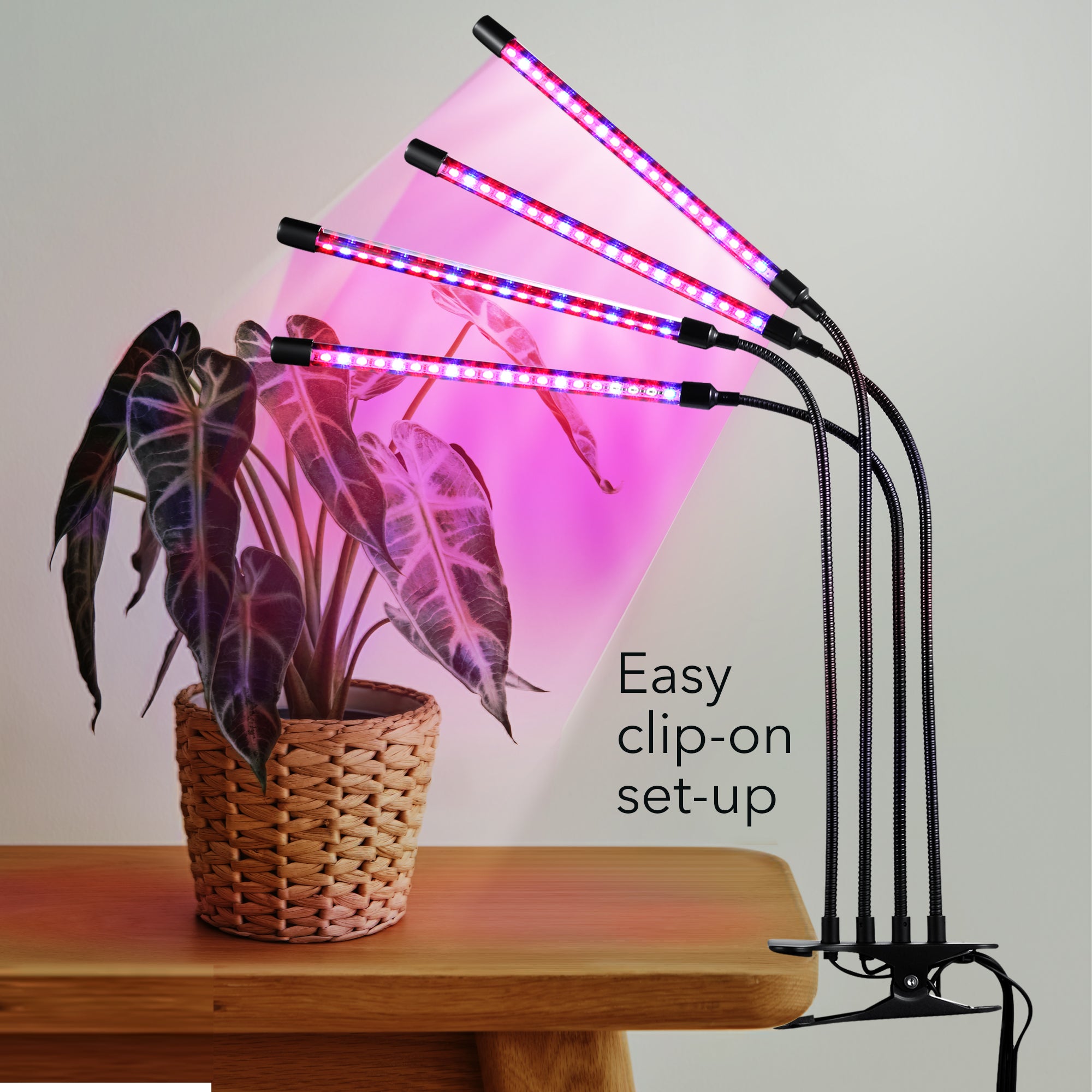 Dartwood LED Grow Lights | Blue Red Spectrum for Indoor Plants