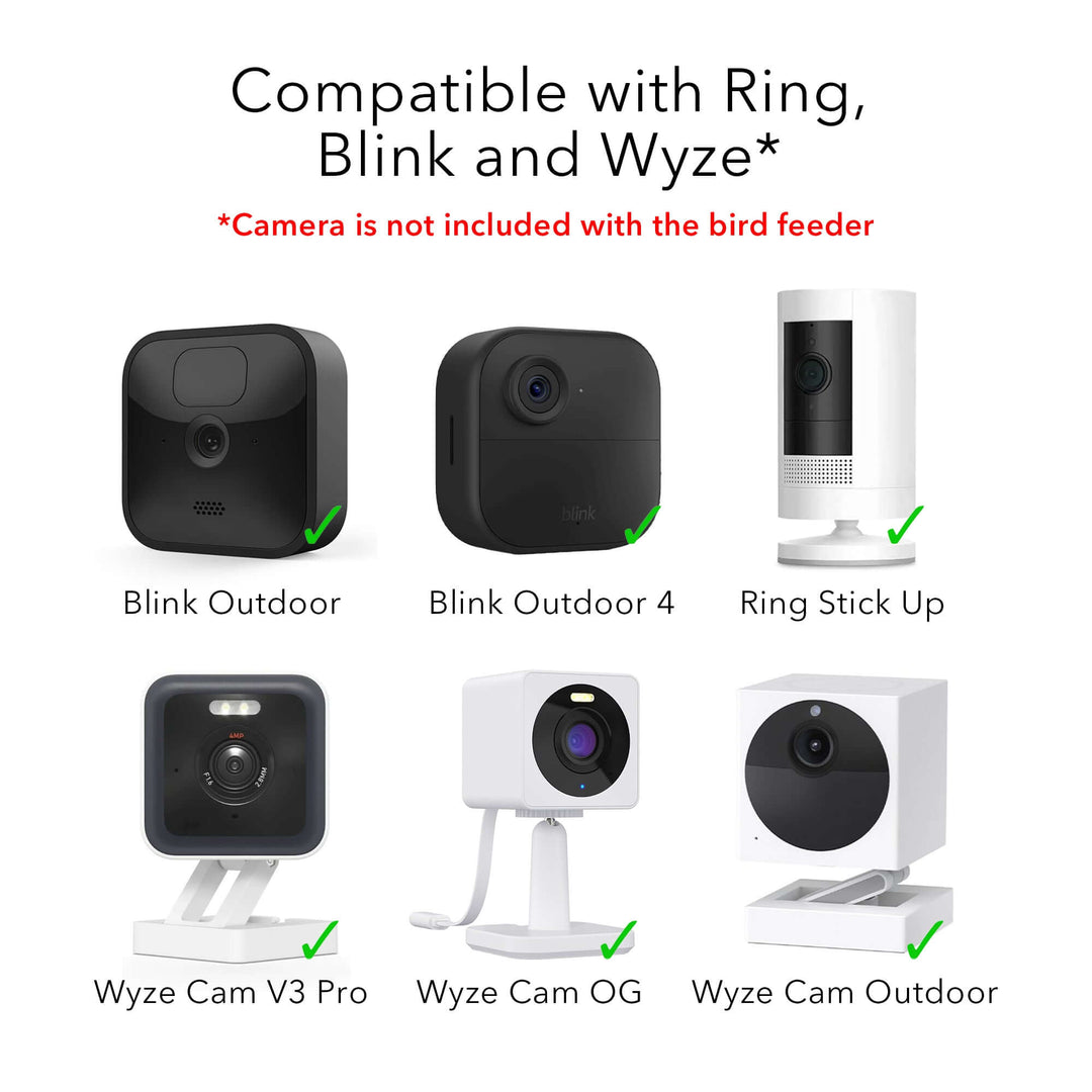Wyze Cam OG vs Blink Outdoor: Who each is best for