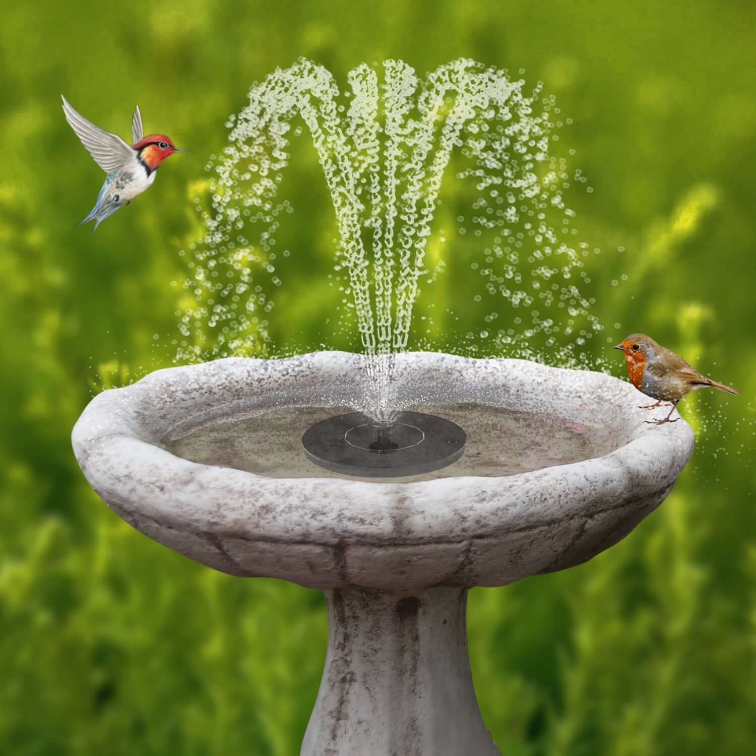 Solar Water Fountain/Bird Bath with 4 Different Nozzle Heads