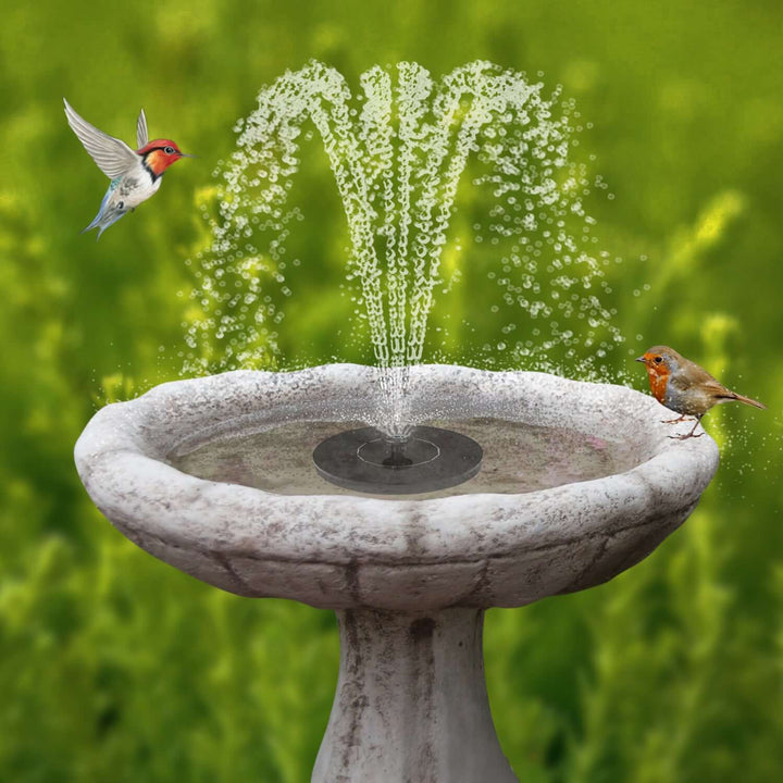 Dartwood Solar Bird Bath & Water Fountain