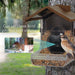 Wasserstein Home